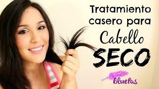 Tratamiento Casero para Cabello seco / Mybluepas