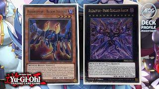 Yu-Gi-Oh! Insane!!! RAIDRAPTOR Deck Profile - Post PHANTOM NIGHTMARE (February 2024)