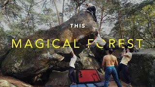 Bouldering in Fontainebleau Changed My Life