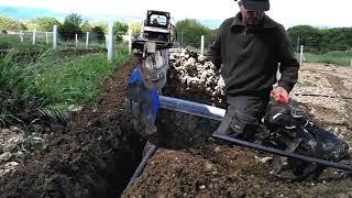 Instalación de riego por microaspersión en plantación trufera