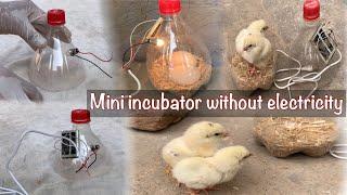 How to make mini incubator without electricity.