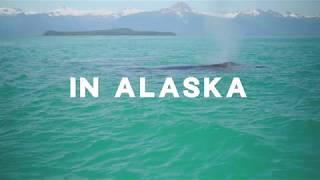 Alaska Seaplanes - Delivering a Way of Life