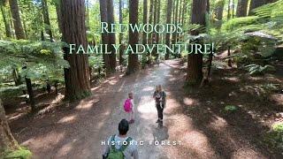 Discovering the Beauty and History of Rotorua's Redwoods | Family vlog hike