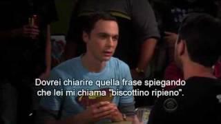 The Big Bang Theory Sheldon Vs Will Wheaton