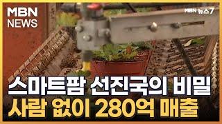 [미래농업을 열다①] 50명 직원에 연매출 280억…농업 강국 네덜란드 비결은 '스마트' [MBN 뉴스7]