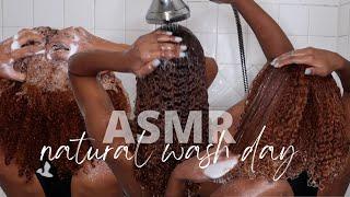 ASMR Washing Natural Hair | Scratching, Scrubbing, Brushing, Rinsing Sounds | Mia Ashanti 