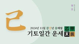 2024년 11월 기토일간 운세