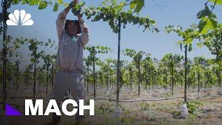 The Future Of Farming Without Farmworkers | Mach | NBC News