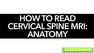 How to read Cervical Spine MRI - Anatomy