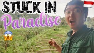 I was TRAPPED in Bali, and it turned out to be the best thing ever happened (detailed guide)