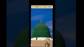 Masjid nabawi short video #masjidnabawi #madina #madinah #shorts #rasoolallah #rozarasool