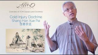 Shang Han Lun  | Acupuncture CEU Course | Dr. Daoshing Ni