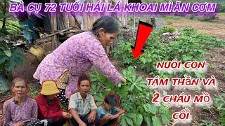 Bà Cụ 72 tuổi nuôi con TÂM THẦN và 2 cháu MỒ CÔI ăn lá KHOAI MÌ để sống.../274