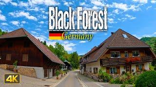 Driving through the Black Forest in Germany  FULL-length 6 Hour Drive [Driver's View]