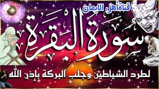 سورة البقرة كاملة مكررة لطرد الشياطين والجن والسحر والحسد وجلب الرزق والبركة تحصين surat albaqara