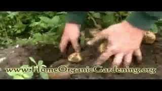 Organic Gardening Information