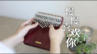 莫文蔚 Karen Mok - 慢慢喜歡你 - Kalimba Cover