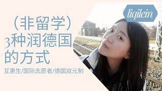 简单润德国的3种方式(非留学）/互惠生Aupair/国际志愿者FSJ BFD/德国双元制Ausbildung