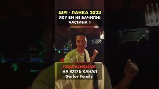 Доїхали до фантастичного готелю на Піннавелі / ПОДОРОЖ ШРІ-ЛАНКОЮ 2023