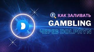 Запуск на gambling через Dolphin Автозалив