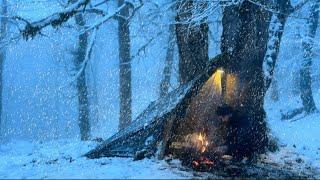 WINTER CAMPING in DEEP SNOW Alone for 2 Days at -12°C!