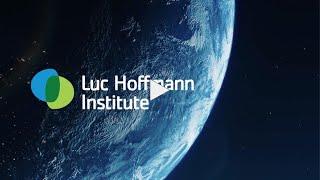 Innovating for Life on Earth - the Luc Hoffmann Institute