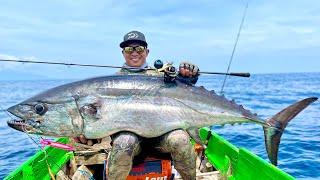 MONSTER DOG TOOTH TUNA 42 KG TAKLUK DENGAN LIGHT TACKLE | DAIWA KOHGA | SALTIGA IC 300