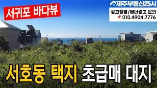 [매물번호0429] 서호동 택지 초급매 대지 #제주도부동산