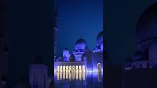 Inside the Grand Mosque: A Journey Through Abu Dhabi's Islamic Masterpiece