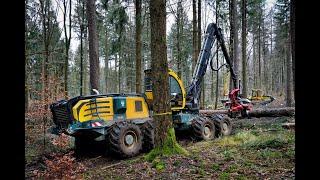 HSM 405 H4 & HSM 208F 18 Tonner • Harvester & Forwarder • Durchforstung • big trees • big machines