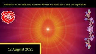 Meditation on Be an elevated holy swan who see and speak about each one’s specialties