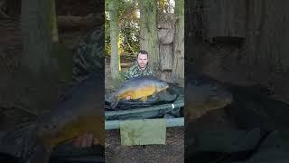 Withy pool. Carp fishing a historic English lake. 05/01/2022