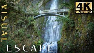 Multnomah Falls - Oregon |  7hrs of Waterfall Sounds | Sleep Sounds, Relaxing Sounds, Ambience