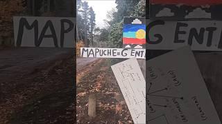 Quila Quina en San Martín de los Andes | Pueblo Mapuche