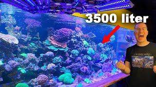 3500 Liter REEF TANK Tour + This is Falk's XXL coral aquarium *crazy LED*