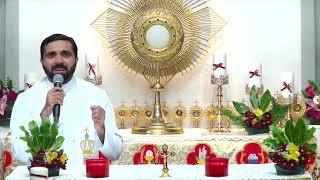 Unlock God's Promises: a blessing to begin your day (Day 367) - Fr Paul Pallichamkudiyil VC