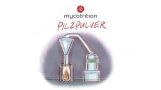 Pilzvideos 002 Pilzpulver