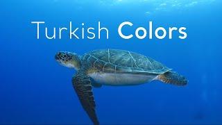 Turkish Colors ReTurkiye | Go Türkiye