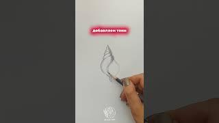 Как нарисовать ракушку карандашом? Короткие уроки рисования от Всем Арт. short #shorts