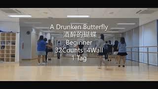 A Drunken Butterfly(酒醉的蝴蝶) Line Dance (Beginner)Let's Practice Together~