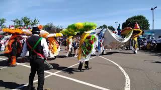 Carnaval Papalotla 2022 New Haven Connecticut