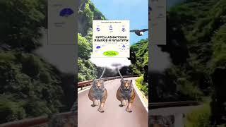 Ждём вас! Набор на стандартную программу, танцы и барабаны — до 9.09 