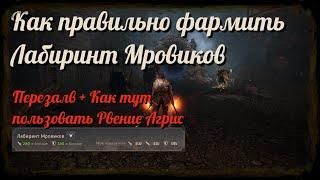 Black Desert / BD: Как правильно фармить спот Лабиринт Мровиков (Перезалив - Рвение агриса)