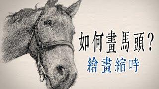 如何畫馬頭?｜鉛筆素描縮時過程