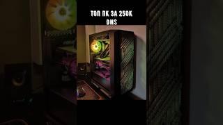 ТОП ПК за 250К(DNS) / Ответы #pc #сборкапк #помощь #соберисам