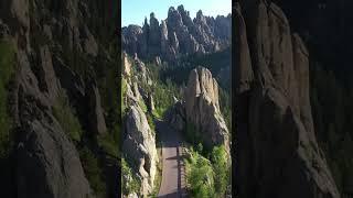  Custer State Park Beauty on Full Display