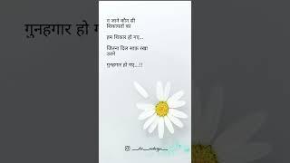 SHAYRI 