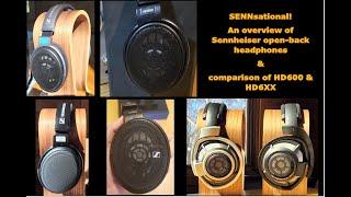 Forgive Me for I Have Senn'd - A Comparison of Sennheiser HD600, 6XX, 660 S, 58X, 800, 800 S