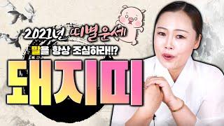 2021년 미리보는 띠별운세 돼지띠 운세 95년생 83년생 71년생 59년생│말을 항상 조심하라!?