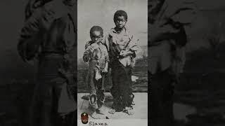 Life Of Slave Children On Plantations